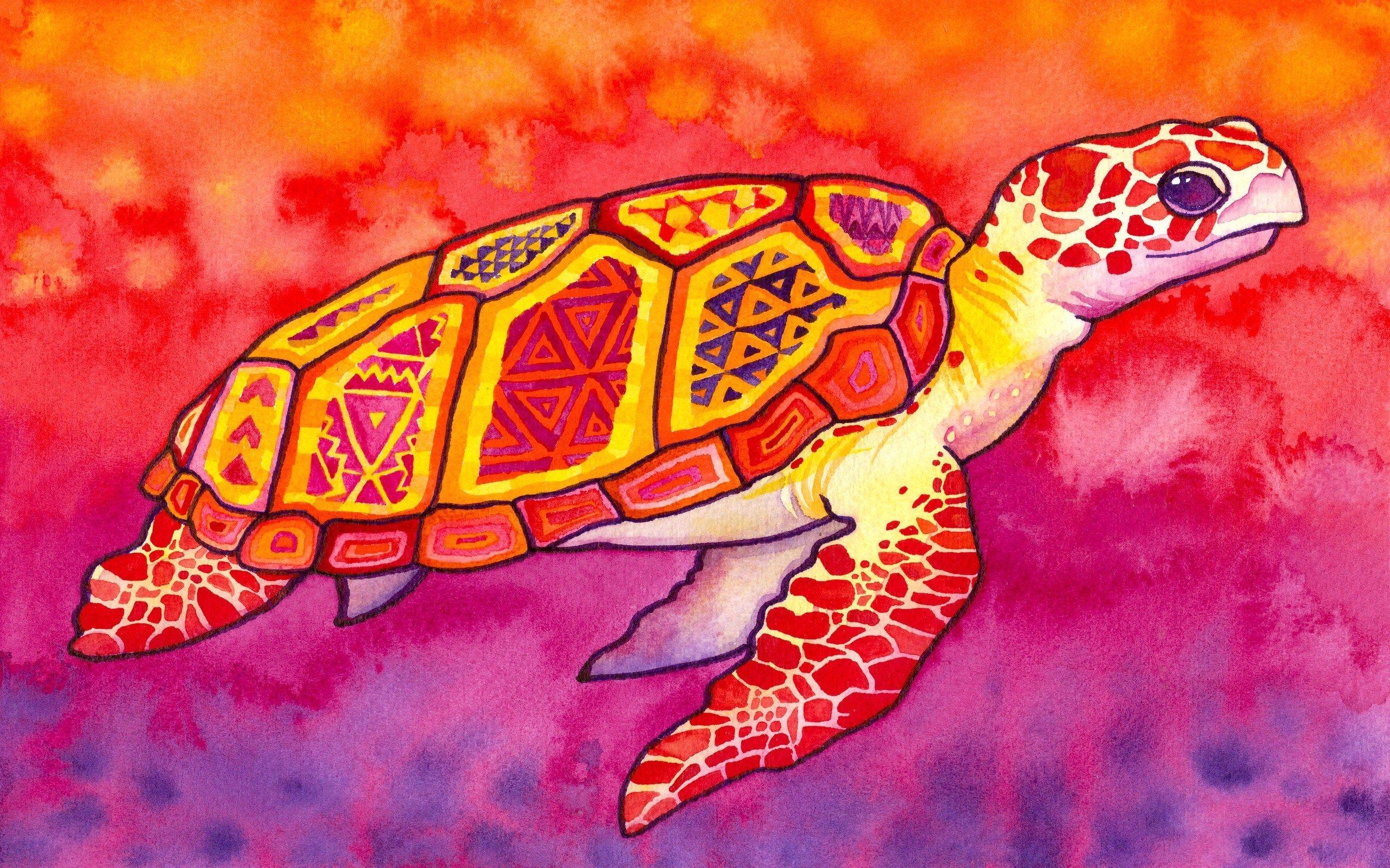 2560x1600 Sea Turtle Artwork wallpaperx1600