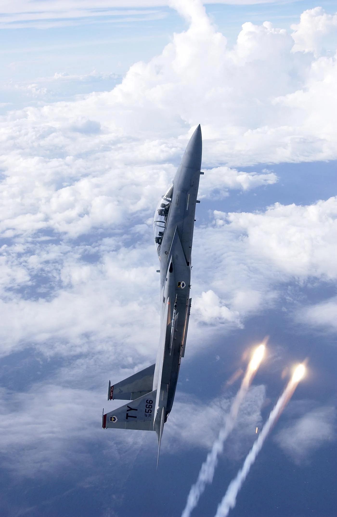 1400x2148 mobile wallpaper for the F16