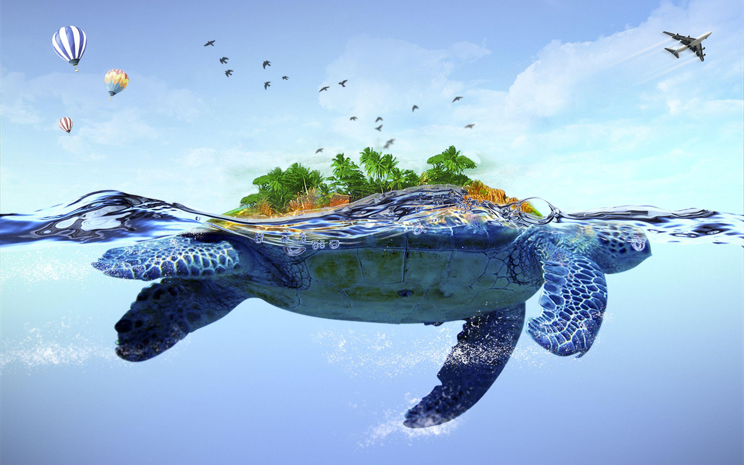 2560x1600 Cute Turtle Wallpaper