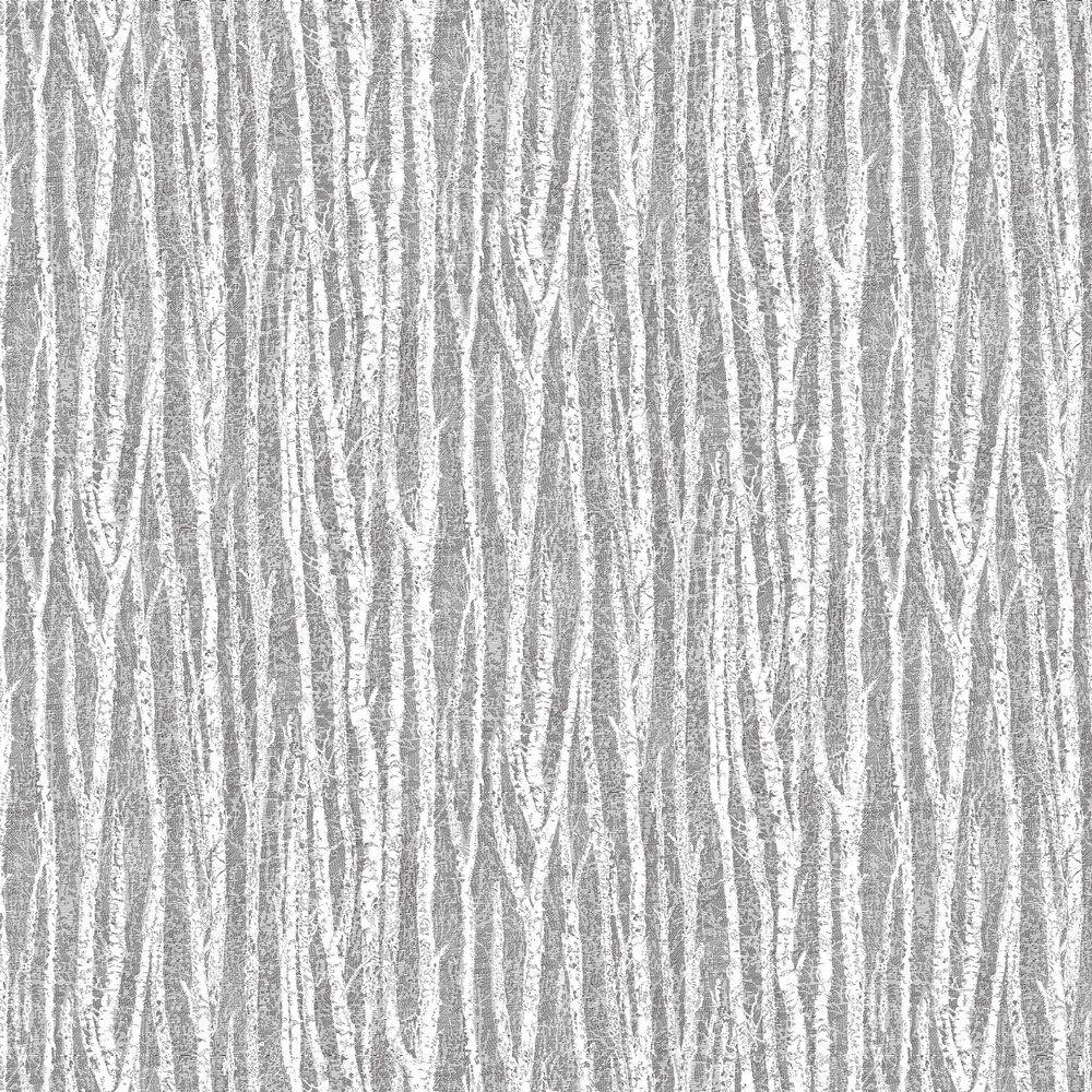 1000x1000 Albany Wallpaper Birch Tree 10.05m x 0.52m