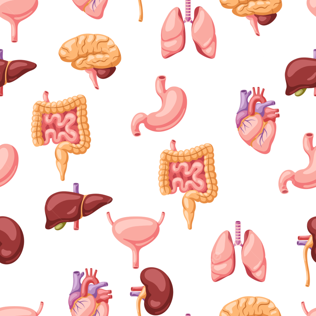1200x1200 Internal Organs Background, Pattern