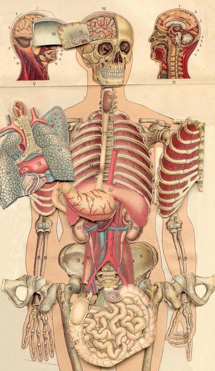 736x1270 Pin page