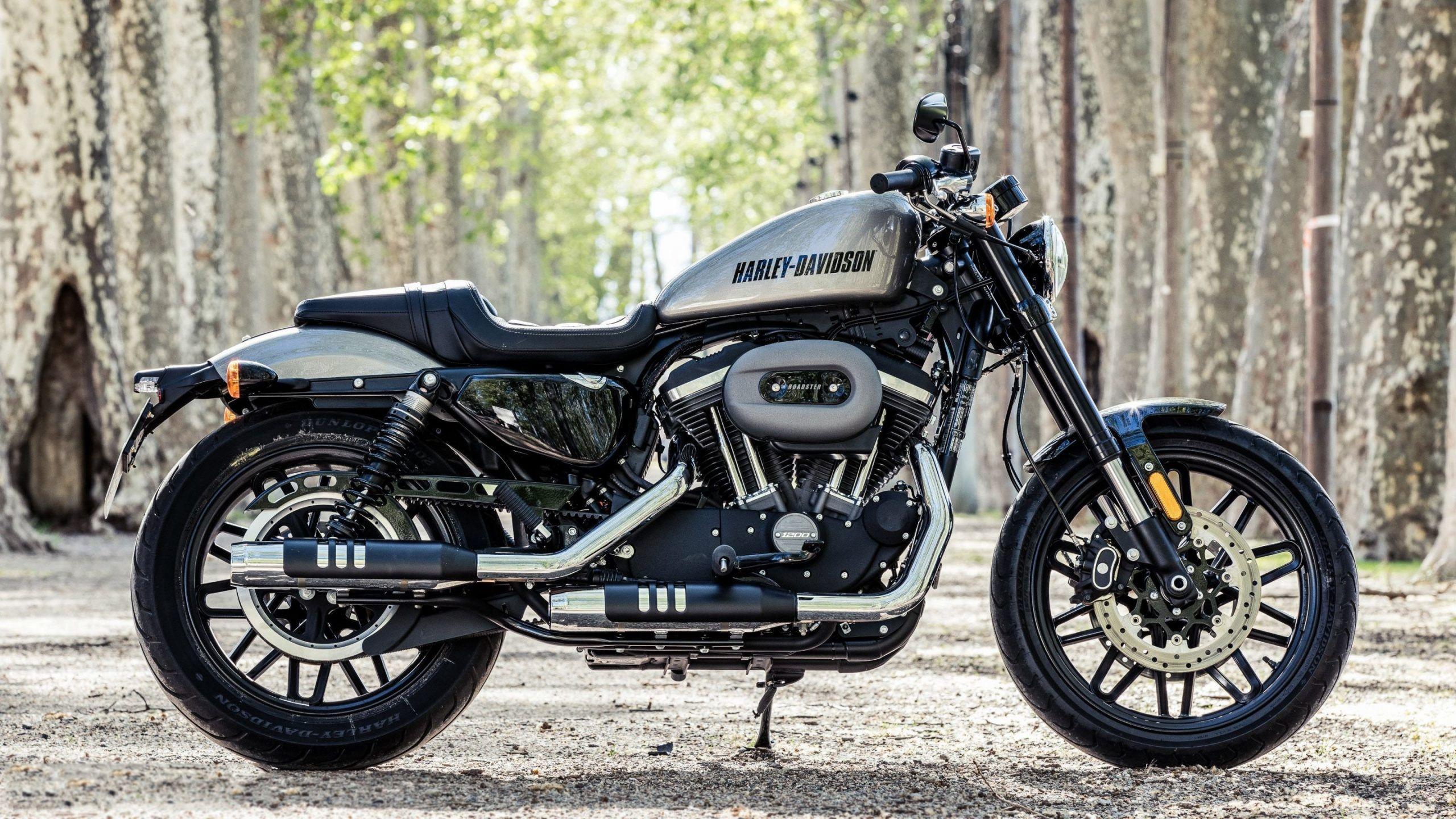 2560x1440 harley davidson roadster wallpaper HD harley davidson