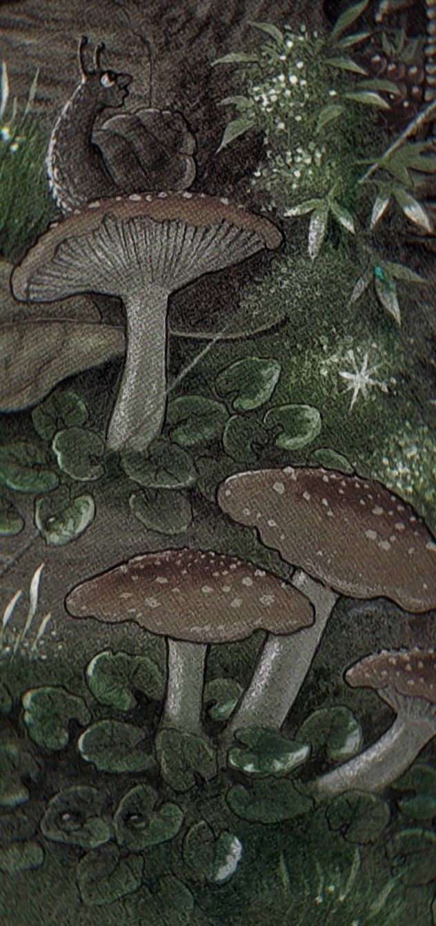 632x1341 aesthetic mushroom phone wallpaper