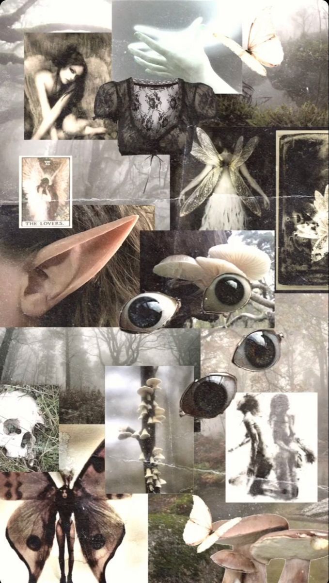 679x1200 grunge fairy collage
