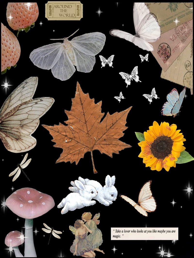 800x1067 Fairycore, nature, fairy, HD phone wallpaper
