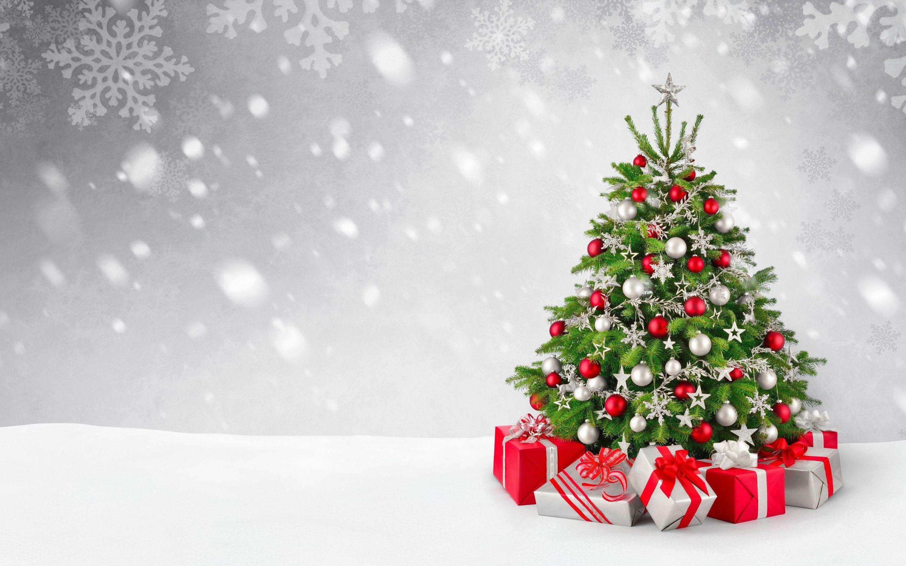 2880x1800 Christmas Trees Wallpaper background picture