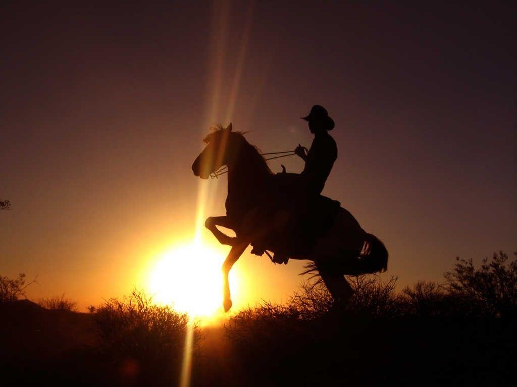 Cowboy Horse Wallpapers - Top Free Cowboy Horse Backgrounds ...