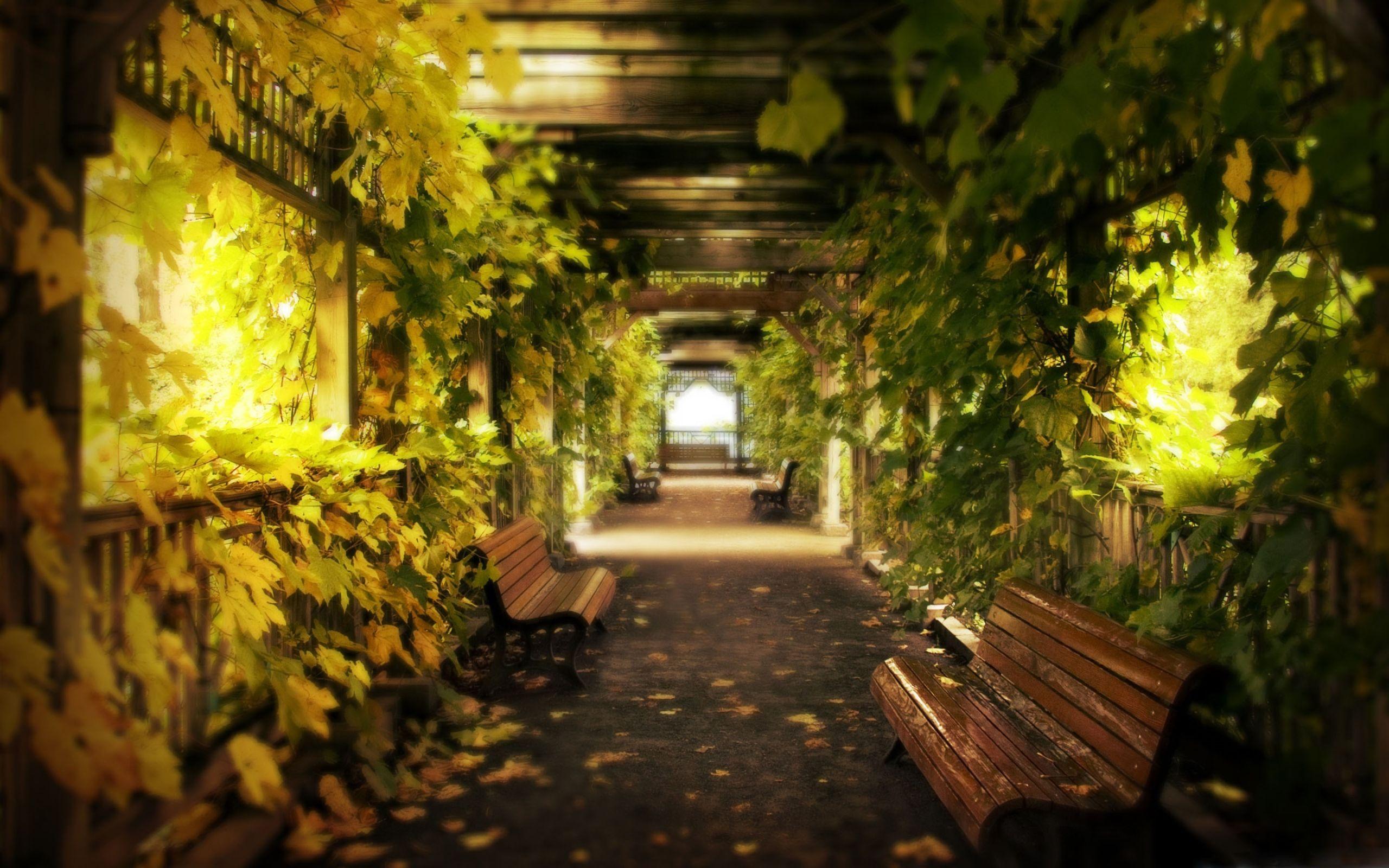 2560x1600 The Alley Mac Wallpaper Download