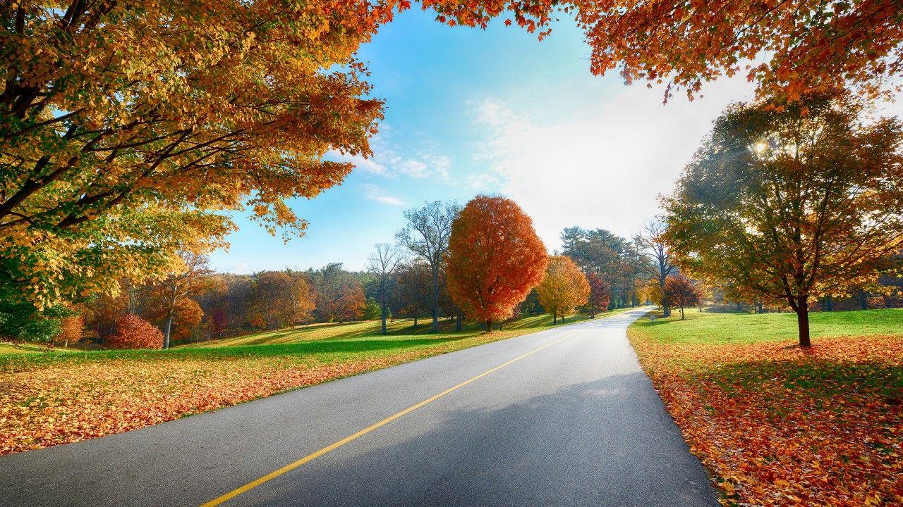 1280x720 Wallpaper Highway, Autumn, Foliage, HD, Nature