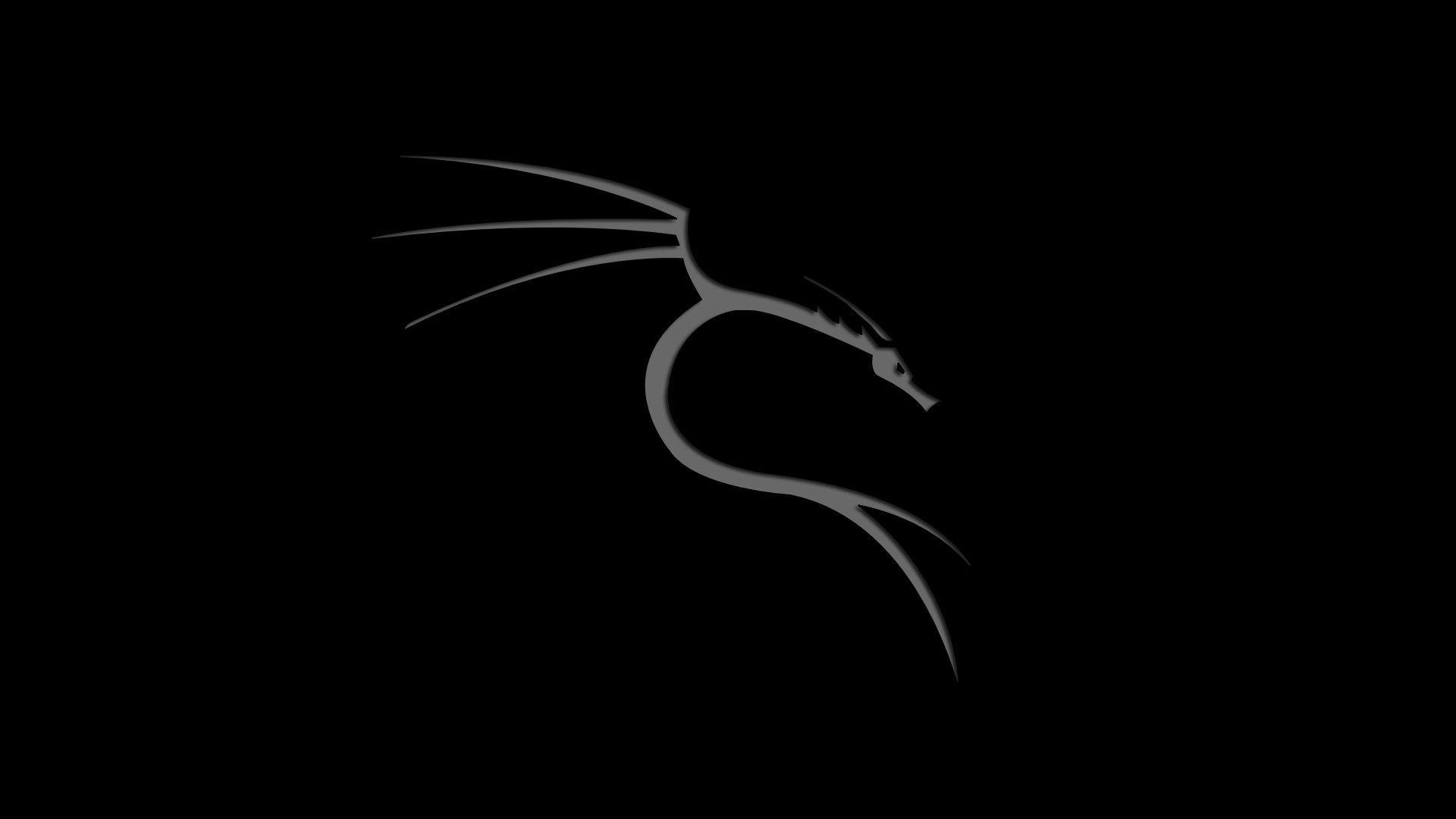 1920x1080 Kali Linux hình nền 1920x1080 https://wallpaperaccess.com/full/1802933.jpg
