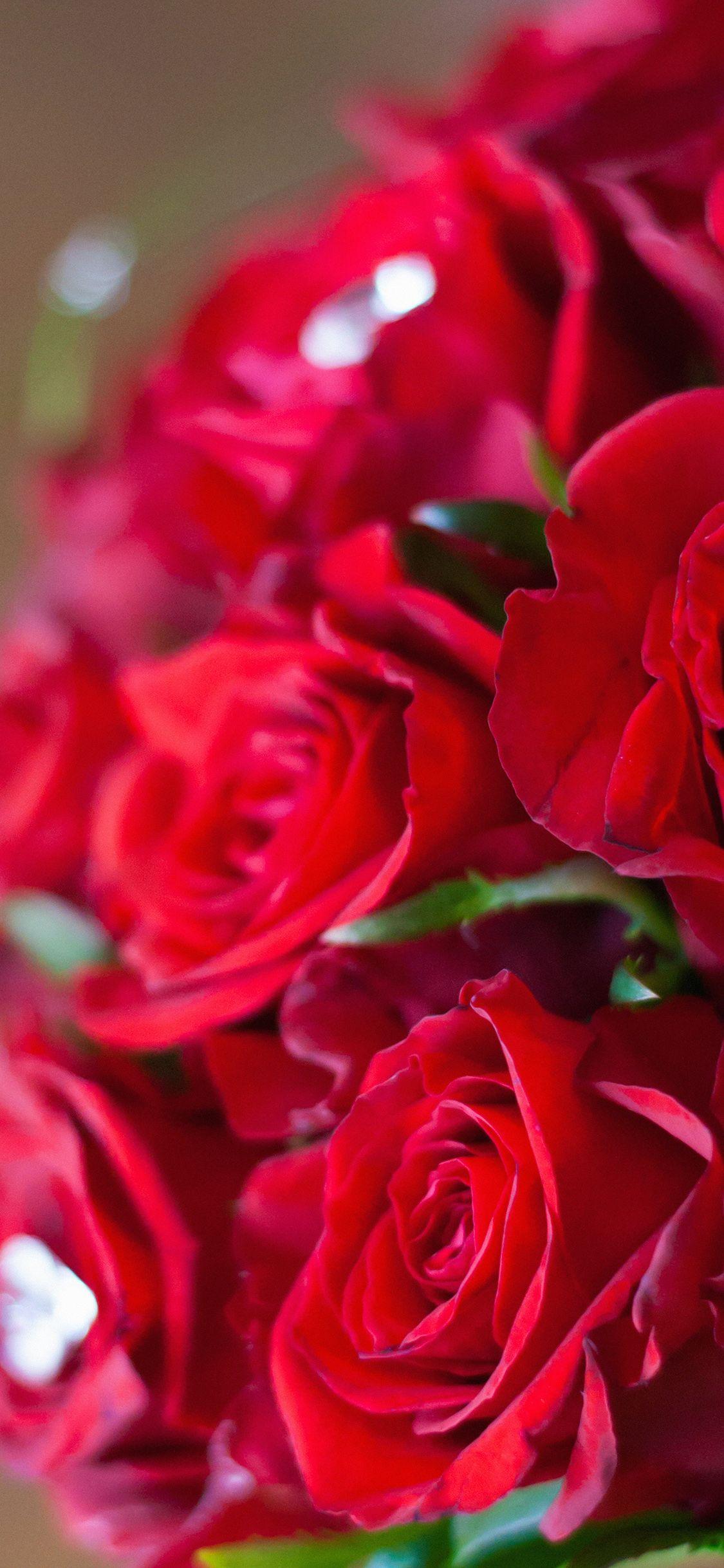 Featured image of post Wallpaper Roses And Diamonds / Hands of the groom and the bride on a wedding bouquet.