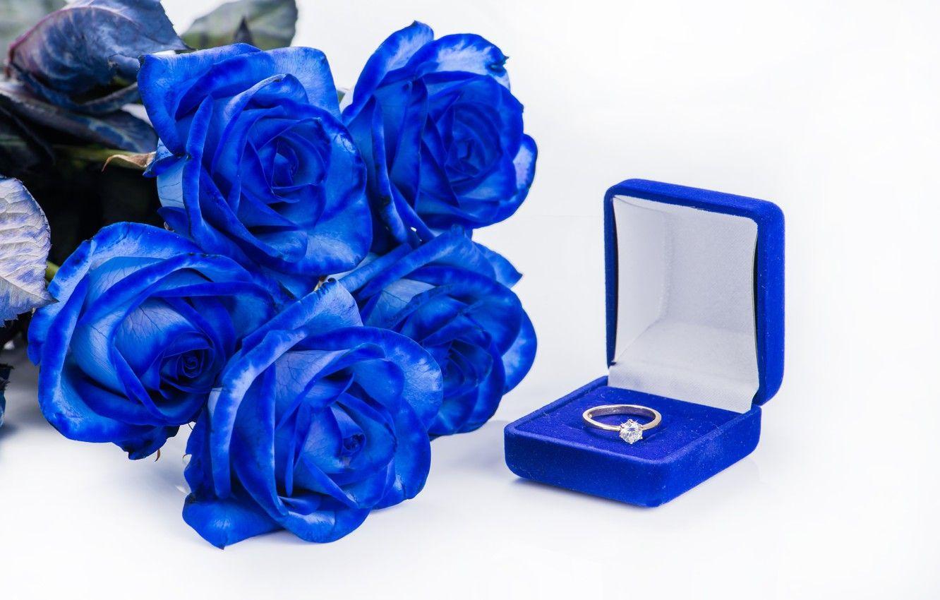 1332x850 Wallpaper holiday, roses, ring, blue, love, rose, wedding, diamond