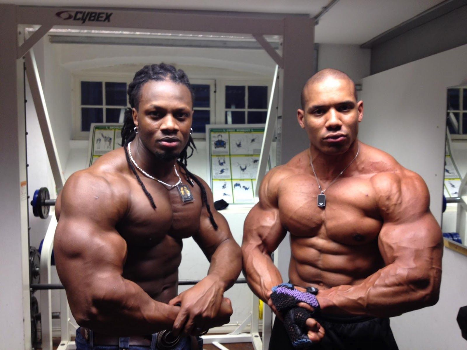1600x1200 Musclemania