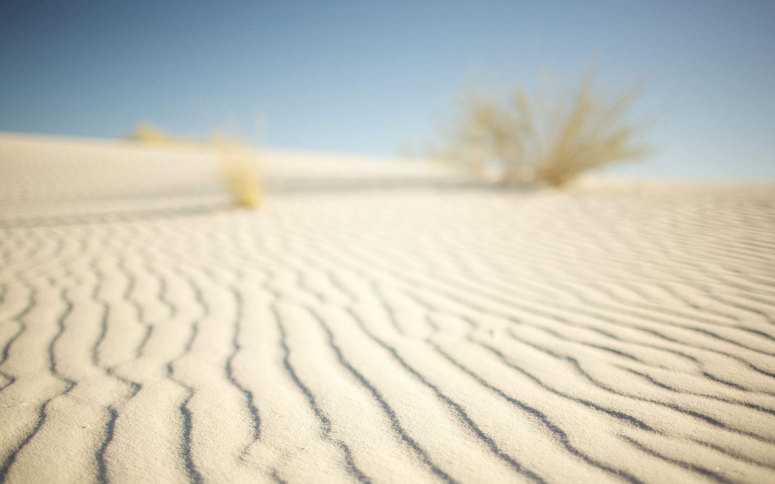 2560x1600 Wallpaper sand, macro, nature, photo