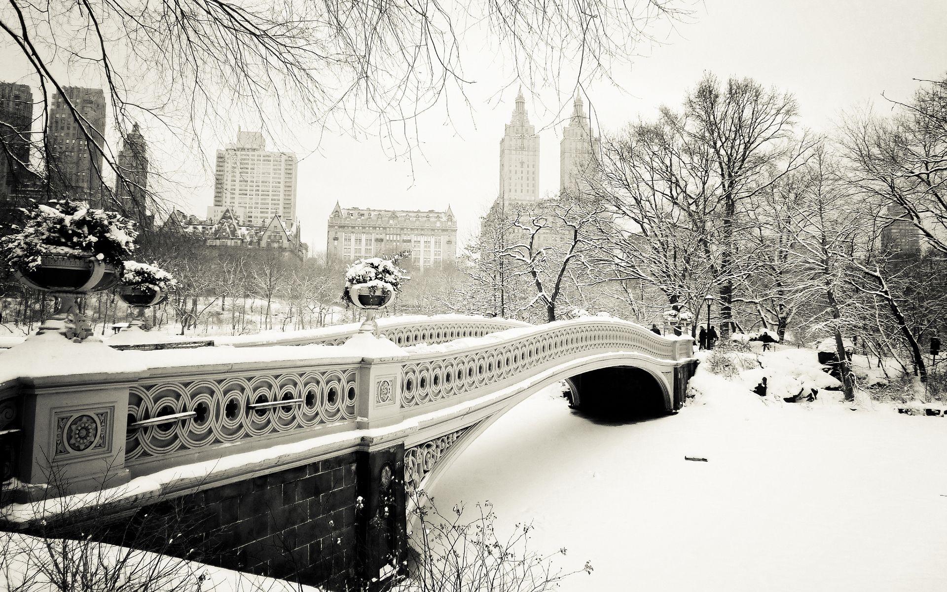1920x1200 New York Winter Scenes Wallpaper