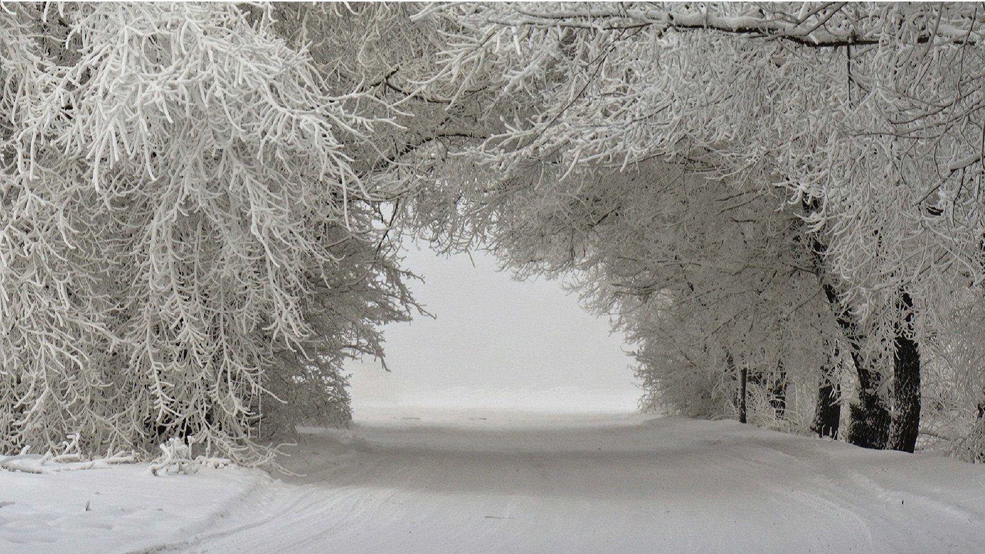 1920x1080 Winter Wallpaper