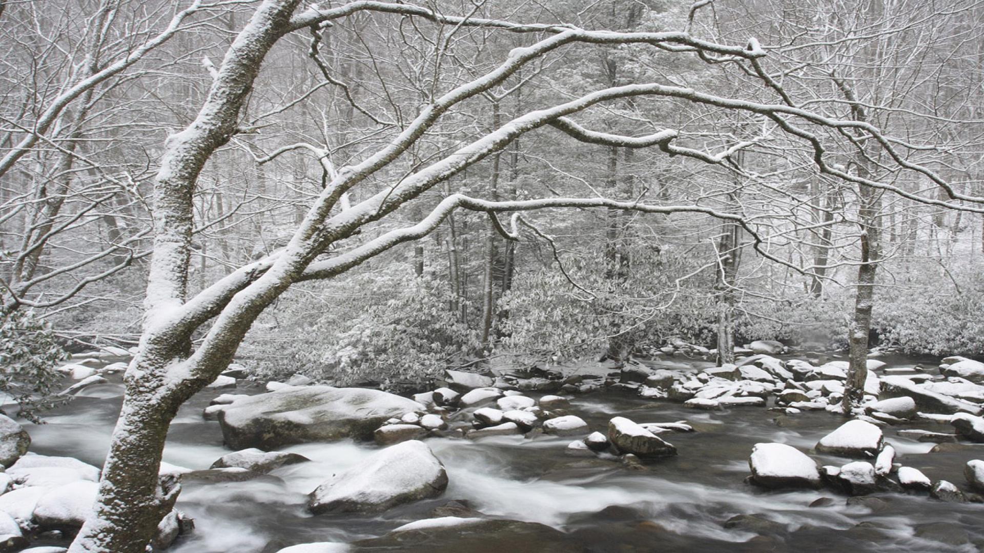 1920x1080 of Winter 4K wallpaper for your desktop or mobile screen