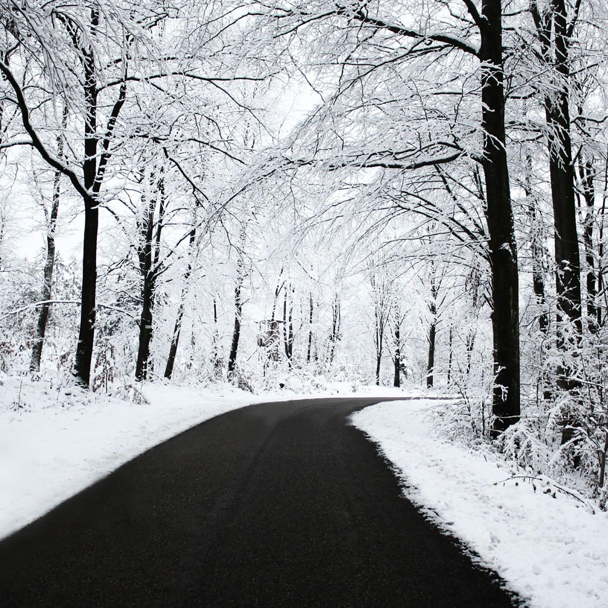 2048x2048 Winter iPad Wallpaper