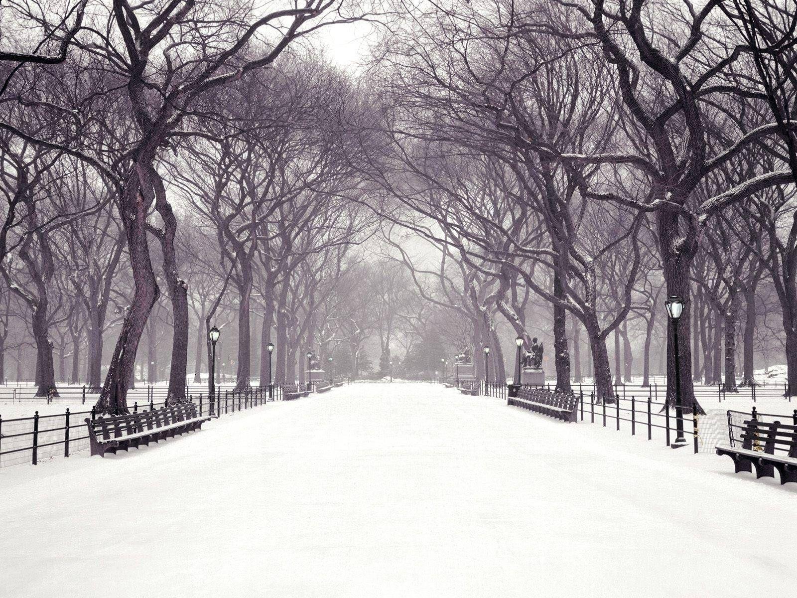 1600x1200 New York Winter Scenes Wallpaper
