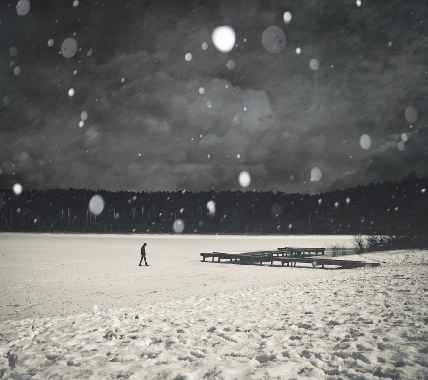 1440x1280 Lonely Winter Wallpaper