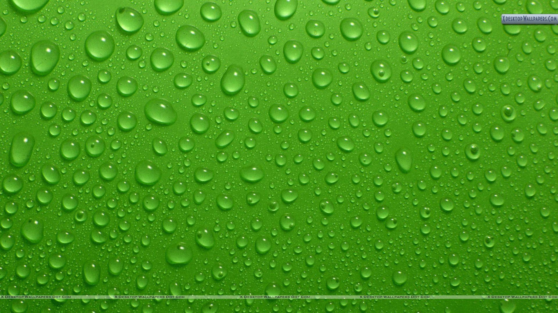 1920x1080 Green Background Image, HD Creative Green Wallpaper