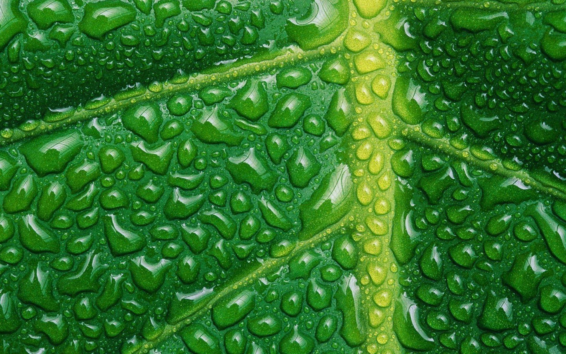 1920x1200 Green Water Wallpaper