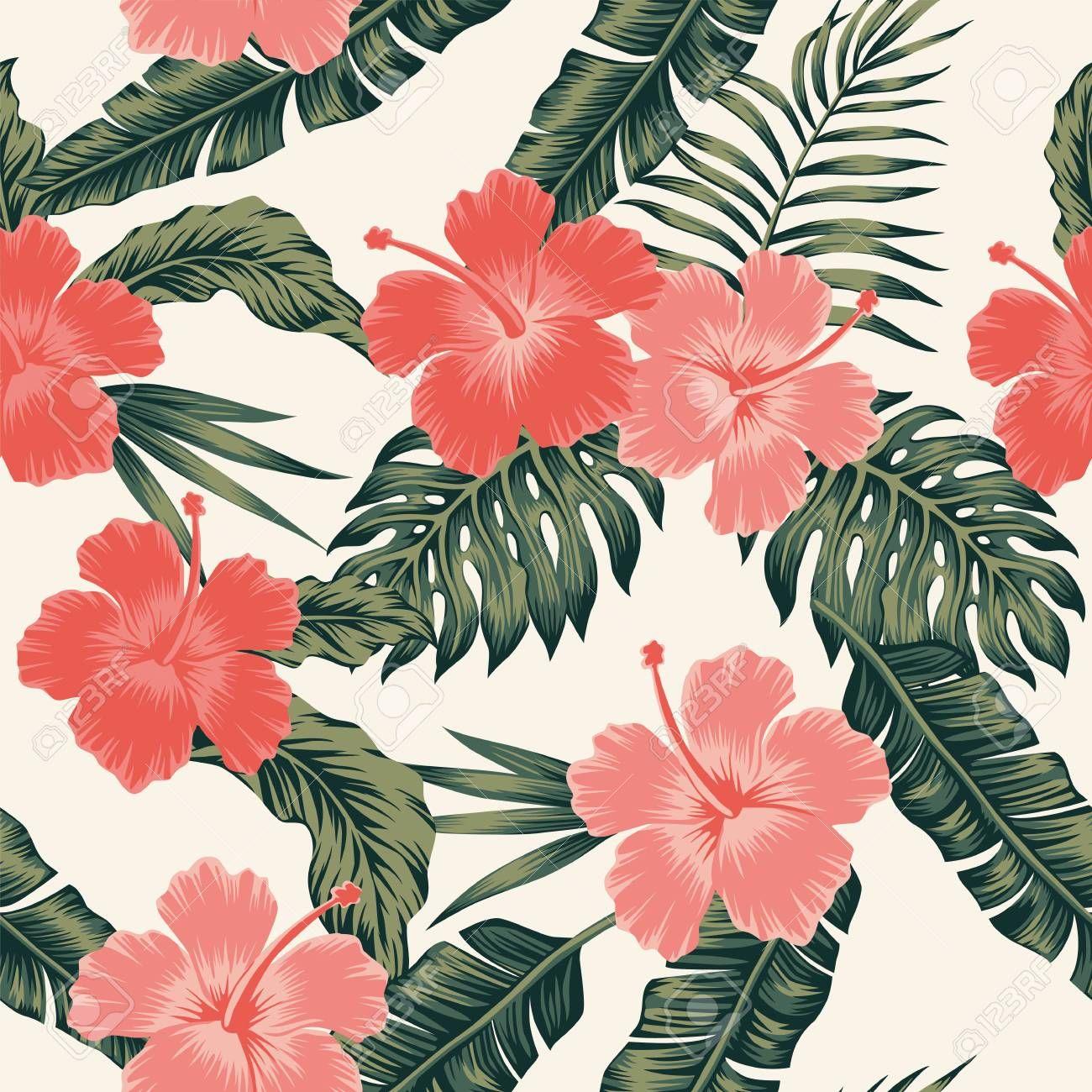 Hawaiian Floral Wallpapers Bigbeamng