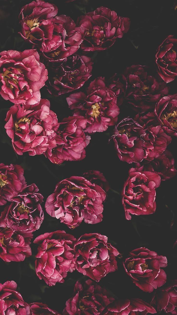 736x1308 Romantic Roses iPhone X Wallpaper. Preppy