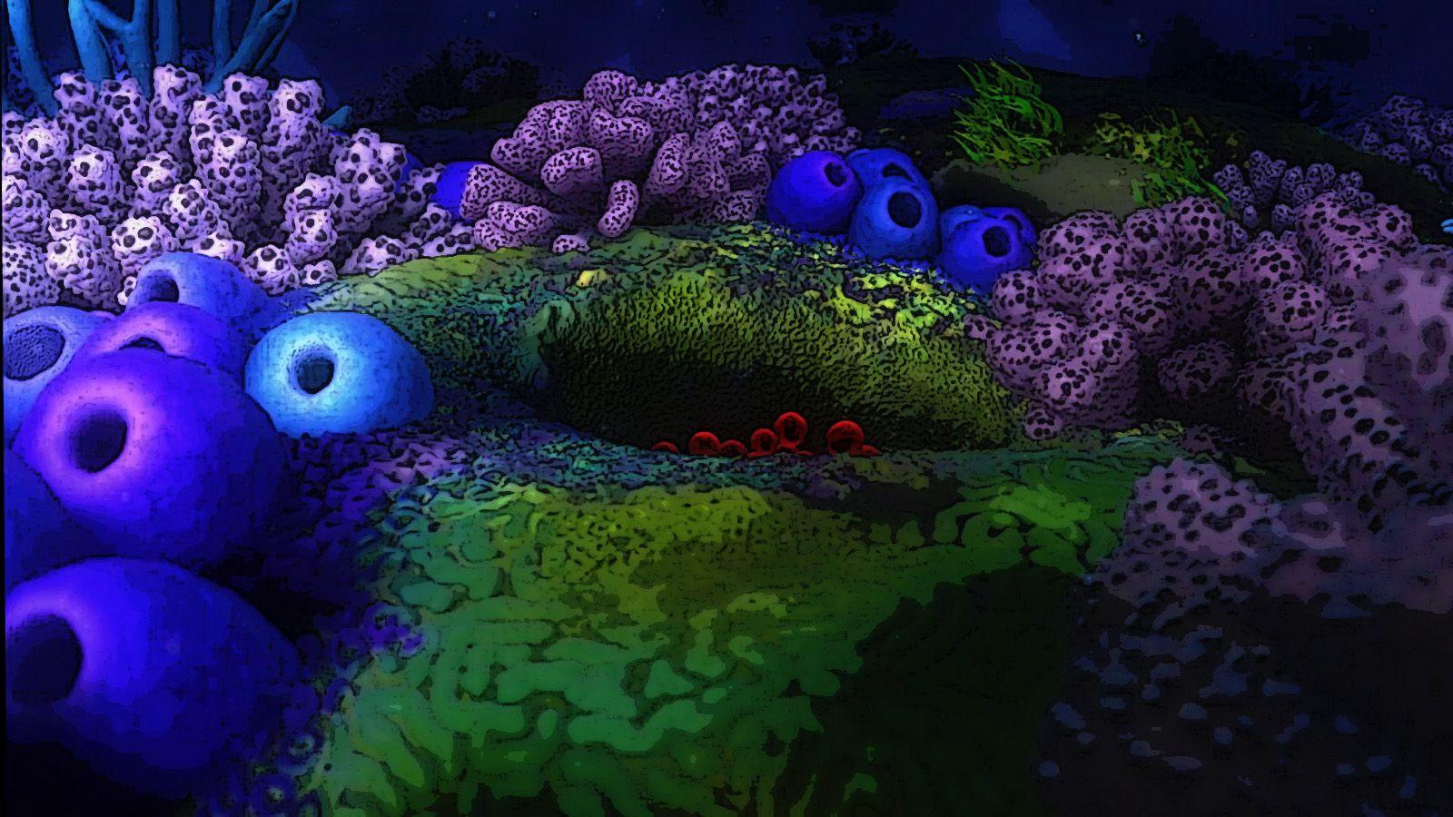 1600x900 Finding Nemo Wallpaper Nemo Wallpaper 39350130