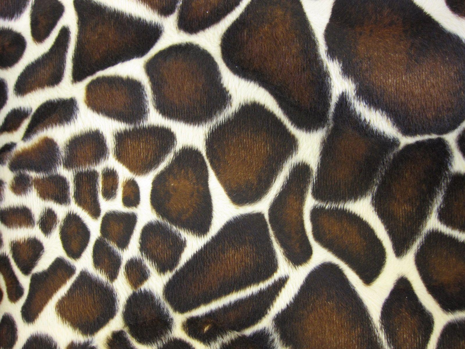 Animal Pattern Wallpapers Top Free Animal Pattern Backgrounds Animal Pattern Wallpapers Top Free Animal Pattern Backgrounds