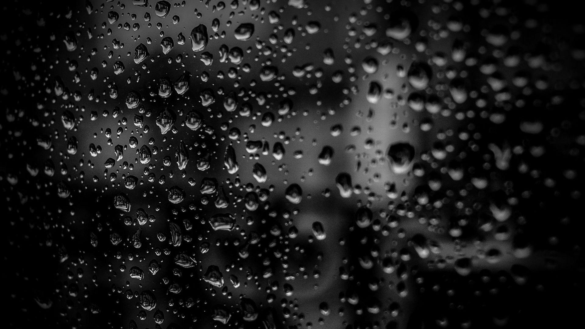 1920x1080 Black and White Rain Drops Wallpaper