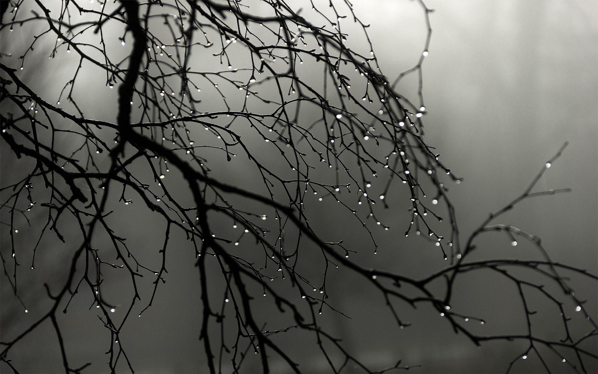 1920x1200 Water Drop Wallpaper, Background, Image. Design