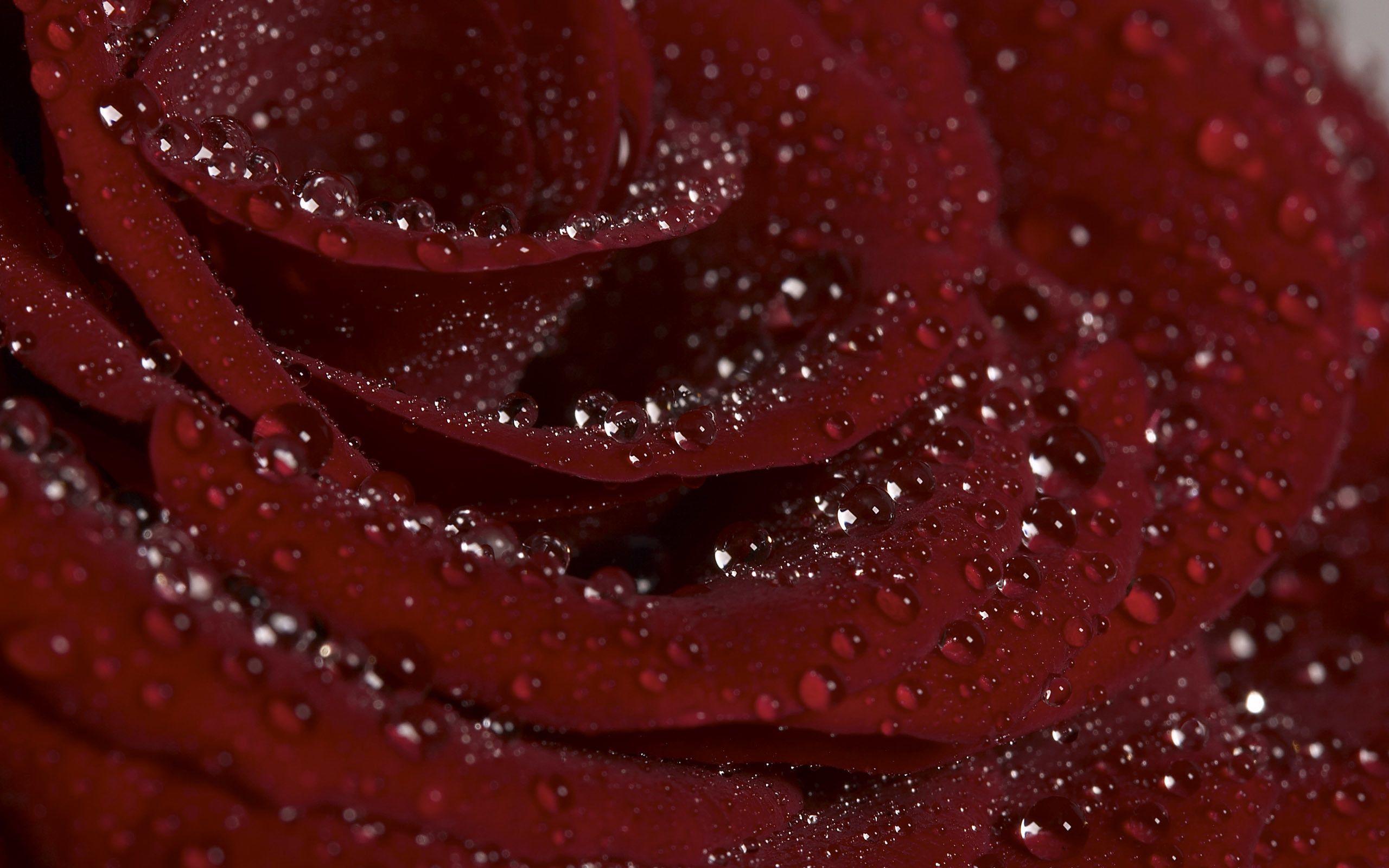 2560x1600 Diamond HD Wallpaper
