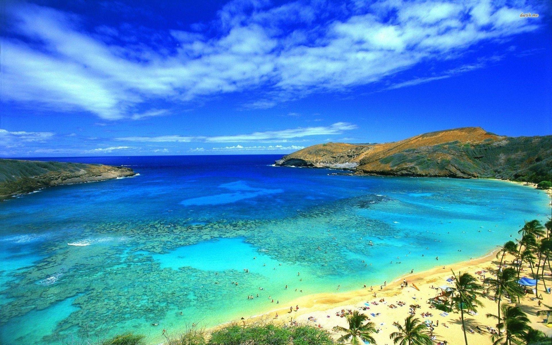 Hawaii Beach Scenes Wallpapers Top Free Hawaii Beach Scenes Backgrounds Wallpaperaccess