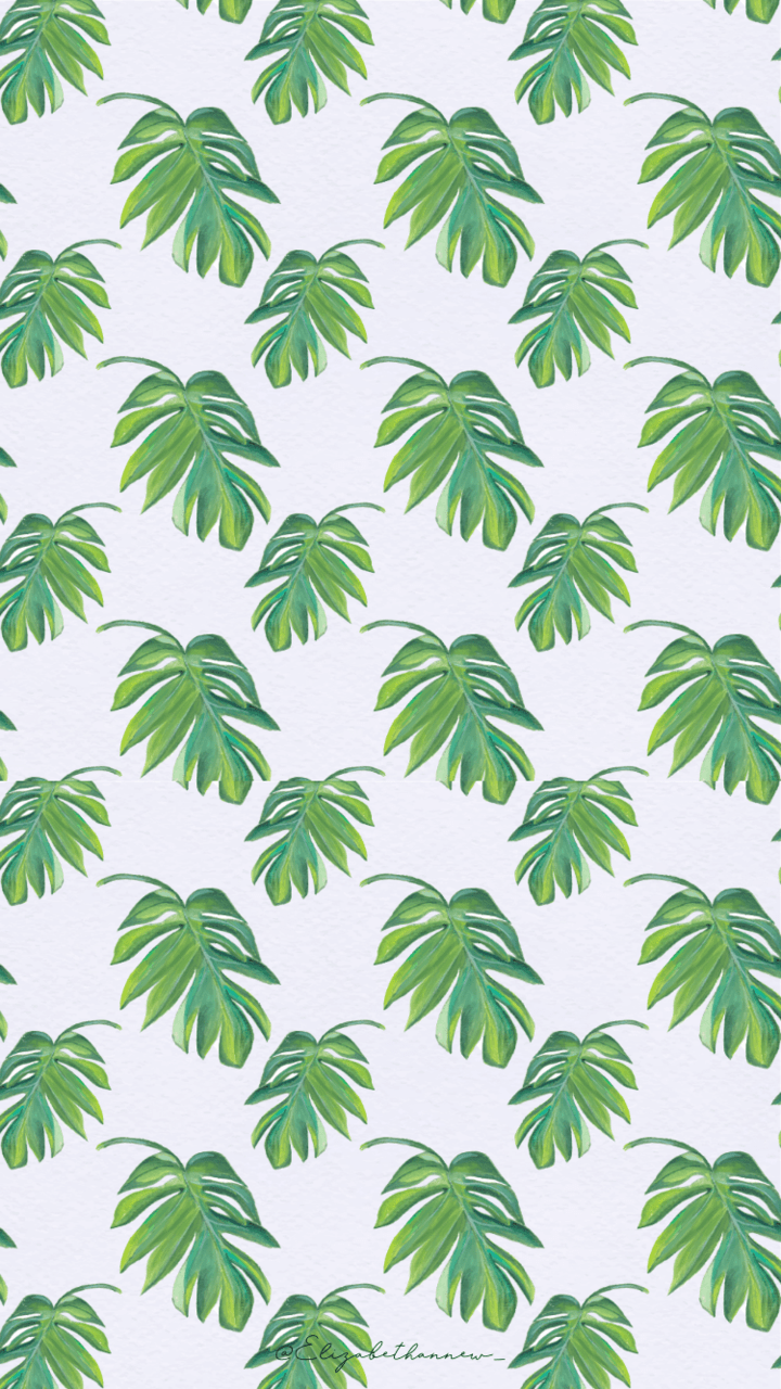 720x1280 Free Summer Phone Wallpaper