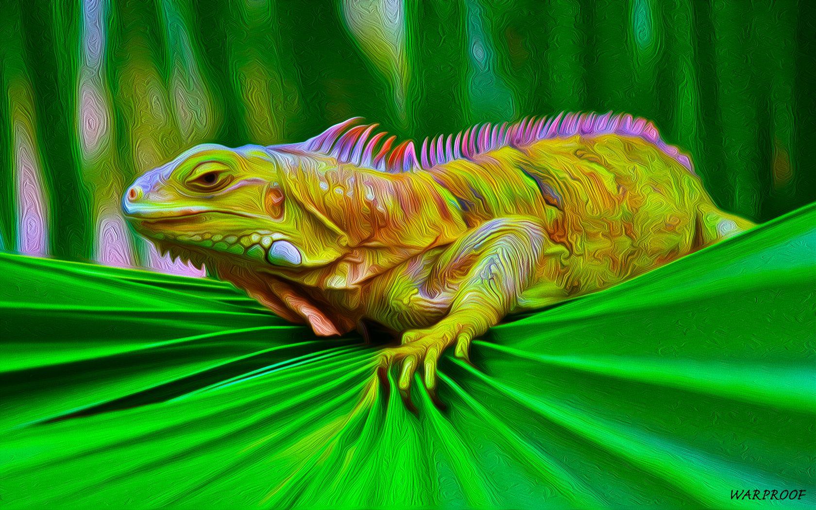 1680x1050 Iguana