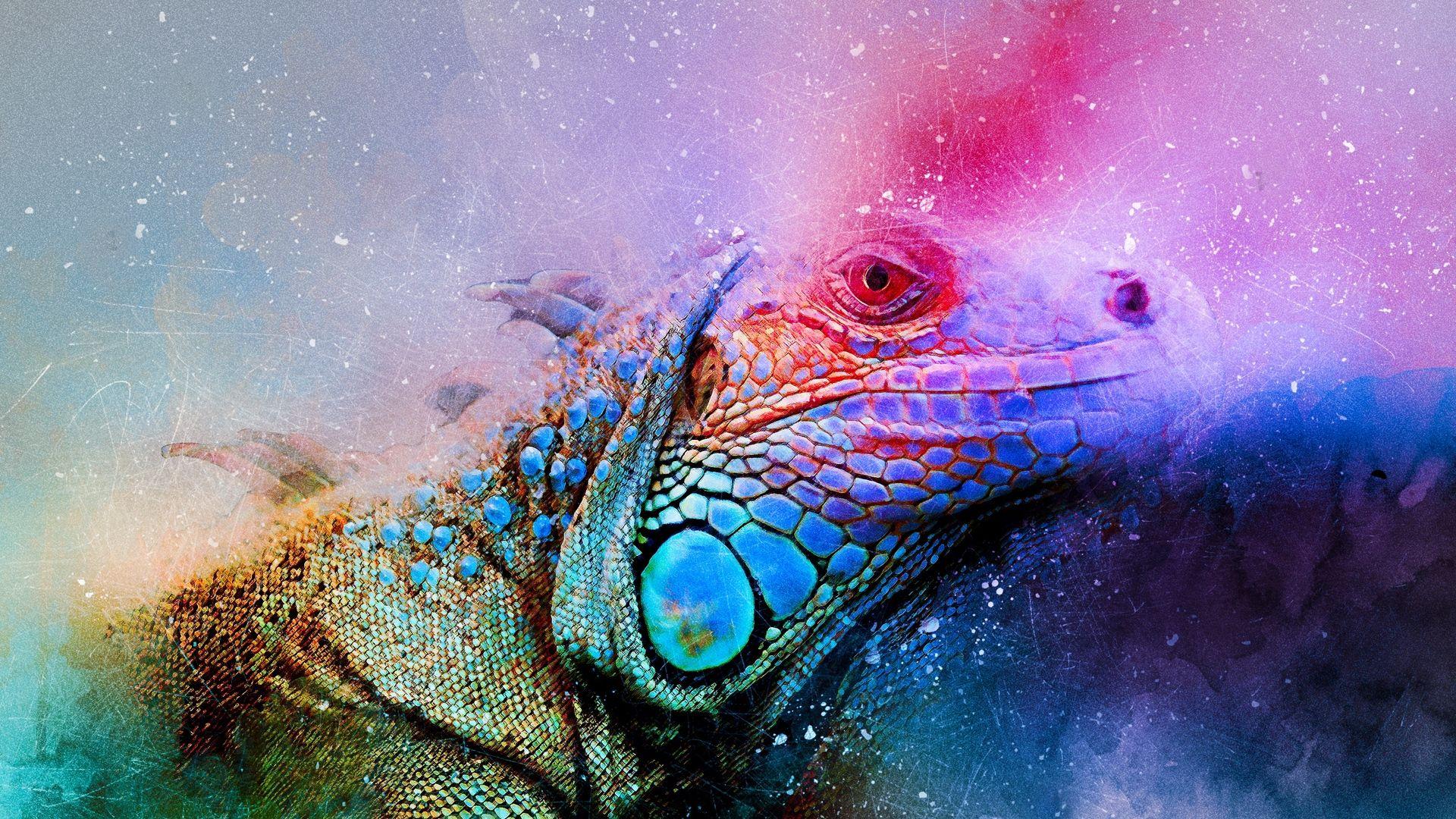 1920x1080 Download wallpaper 1920x1080 iguana, reptile, art, colorful