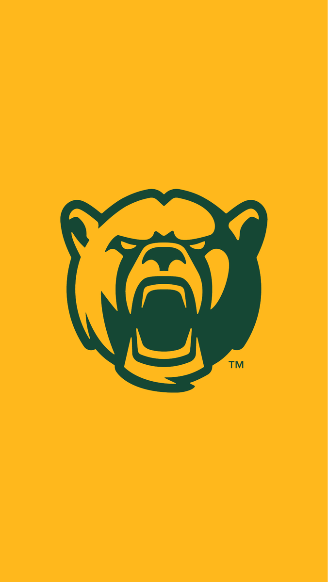 Baylor Wallpapers - Top Free Baylor Backgrounds - WallpaperAccess