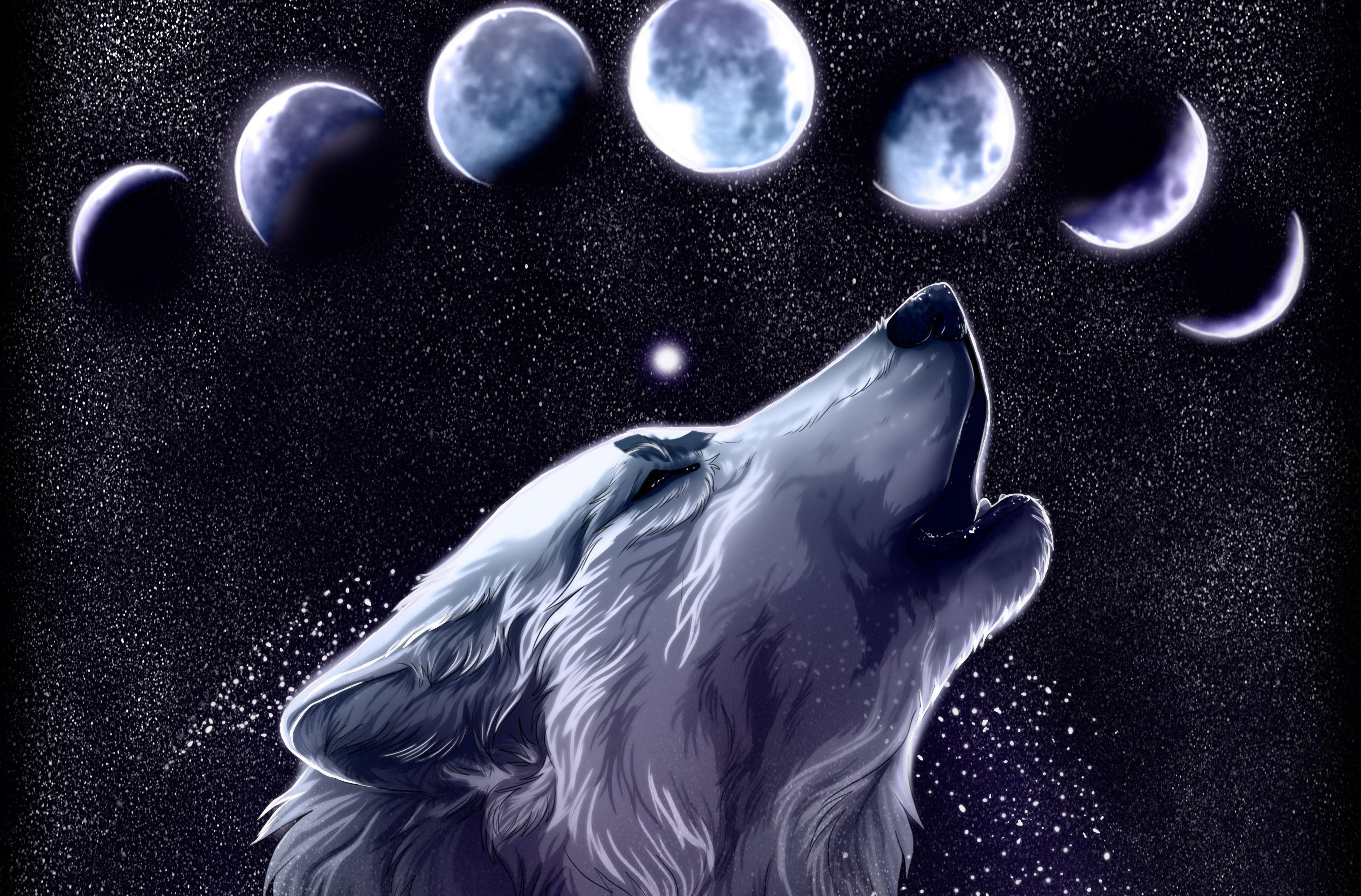 Hình nền 3500x2304 Cool Galaxy Wolves