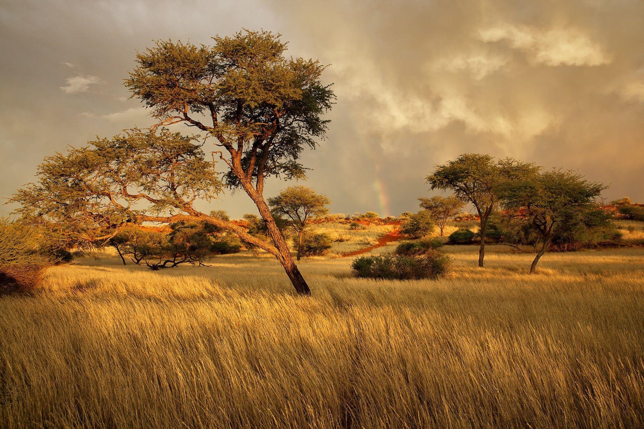 African Landscape Wallpapers Top Free African Landscape Backgrounds African Landscape Wallpapers Top Free African Landscape Backgrounds