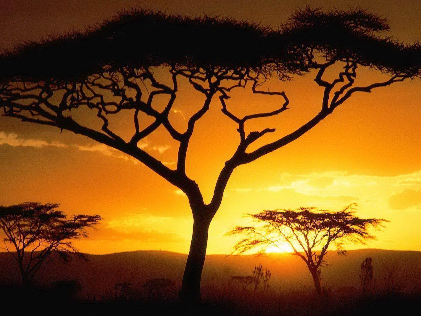 African Landscape Wallpapers - Top Free African Landscape Backgrounds ...