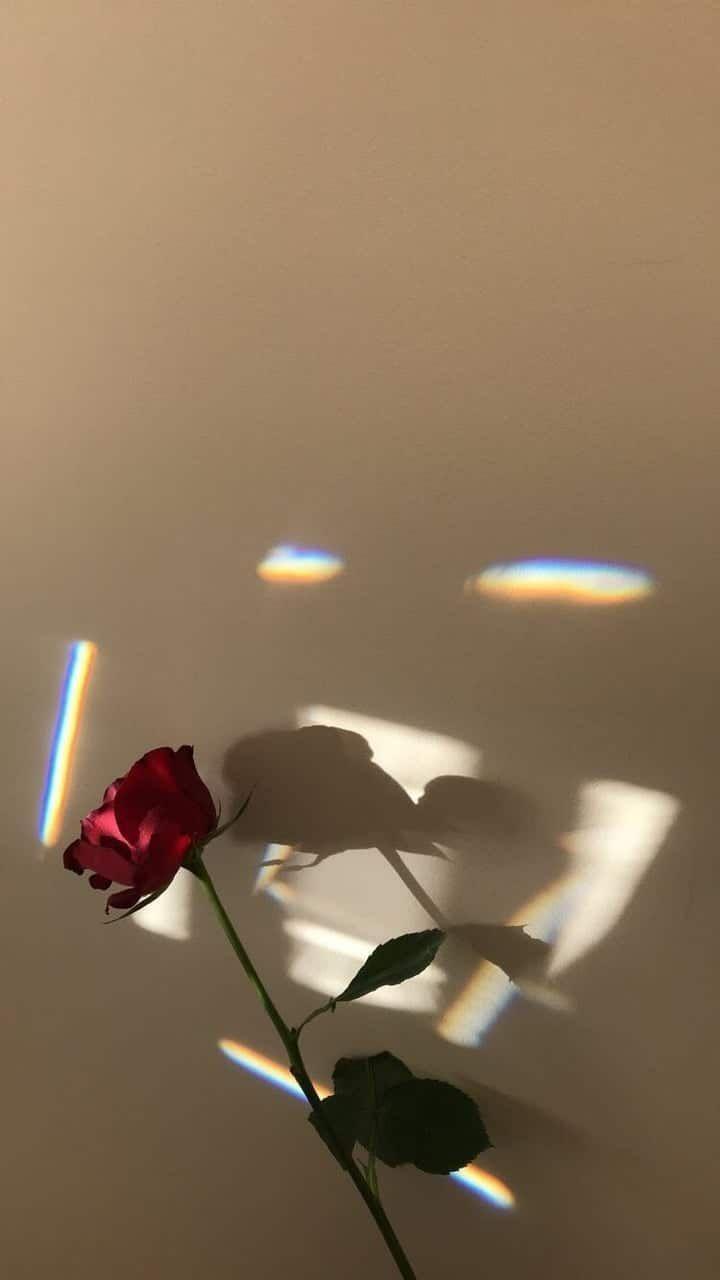 720x1280 iPhone Wallpaper : pinkheartsandspar. Pinterest