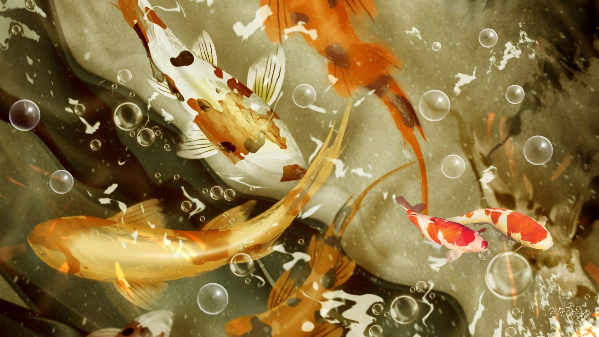 1920x1080 Koi Bubbles HD desktop wallpaper : Widescreen : High Definition