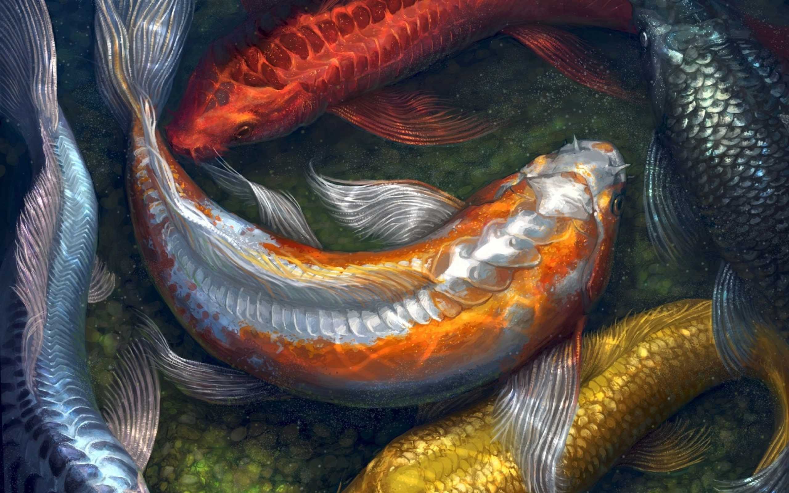 2560x1600 Koi Fish Wallpaper High Quality Desktop Graphic Design Wallpaperfor