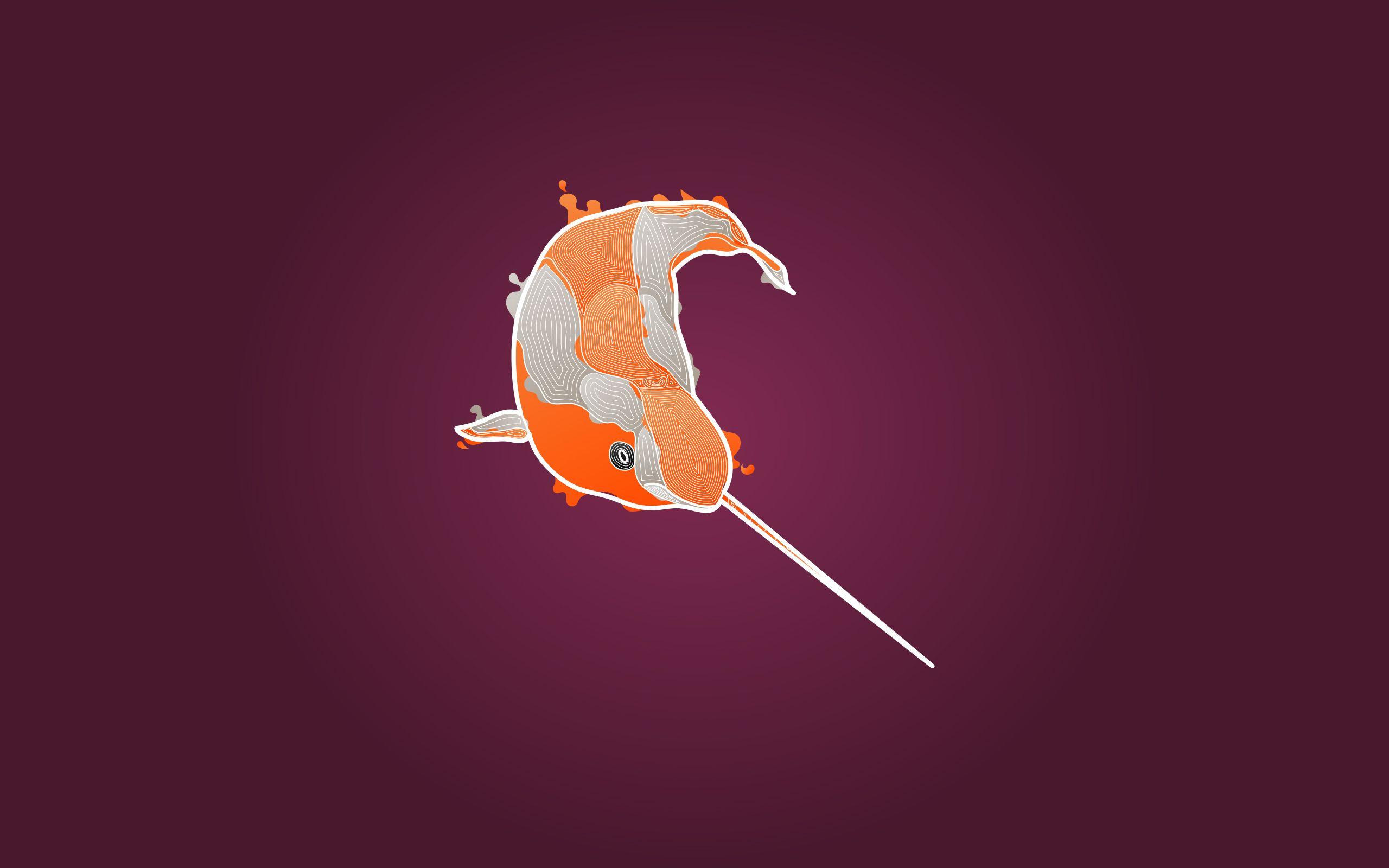 2560x1600 Download the Koi Narwhal Wallpaper, Koi Narwhal iPhone Wallpaper