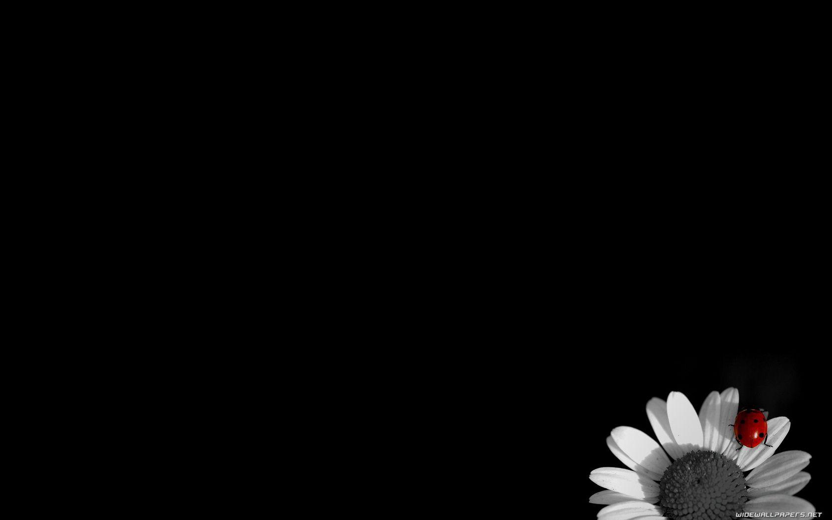 1680x1050 Simple Black Wallpaper. Wallpaper Just do It