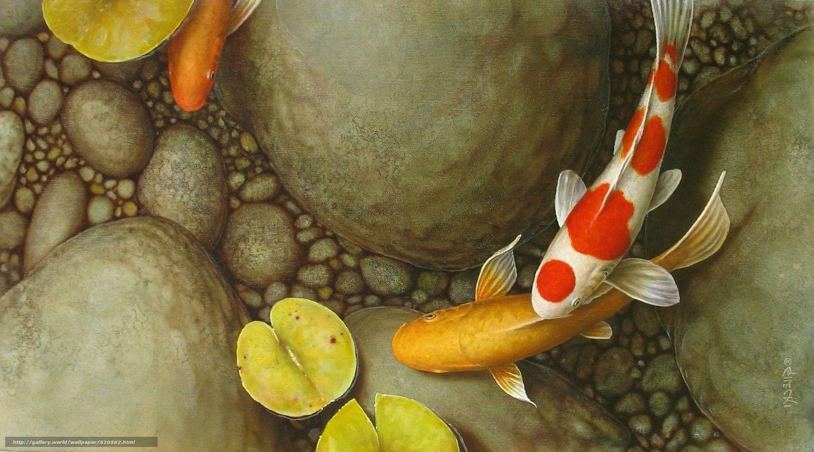 1600x889 Koi Fish Wallpaper For Android.Koi Fish Live Wallpaper