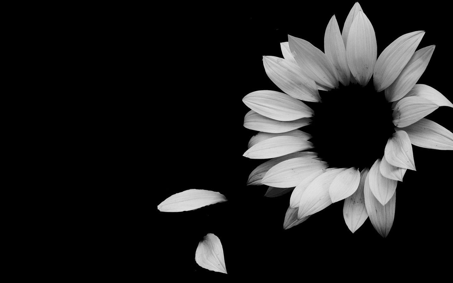 1440x900 Elegant Desktop Wallpaper