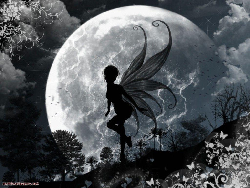 74 Dark Fairies Wallpaper  WallpaperSafari